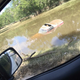 Image for article titled The Miata From That Louisiana Flood Rescue Is Getting Restored For Free